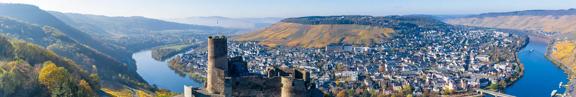 Holzpellets Rheinland-Pfalz