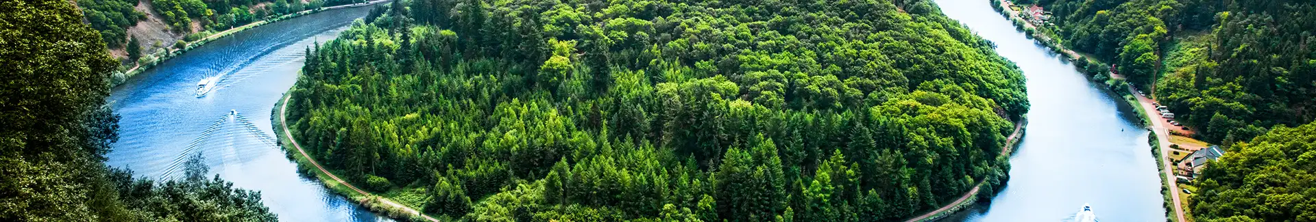 Holzpellets Saarland